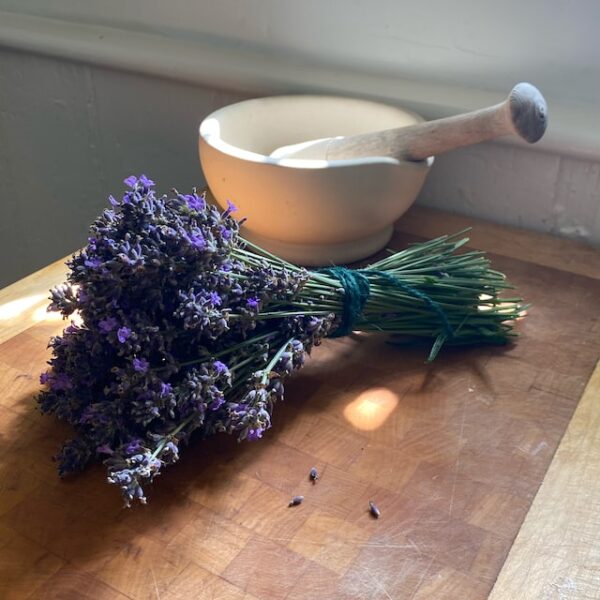 Sušený květ levandule - Lavandula intermedia - 100 g - Image 2